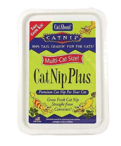 Cat A'bout Cat Nip Plus - Cat Nip - Miracle Care - Miracle Corp