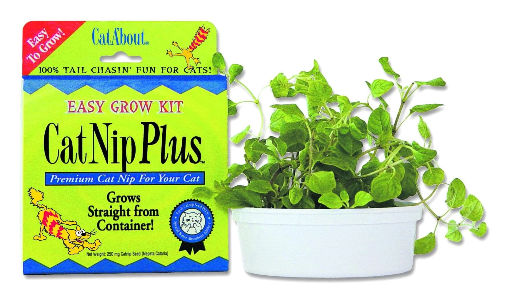 Cat A'bout Cat Nip Plus - Cat Nip - Miracle Care - Miracle Corp